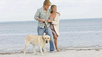 Marley and Me 2008, Heartwarming comedy, Unforgettable moments, Dog lover's delight HD wallpaper