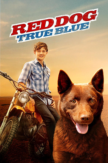 Red Dog movie, Australian adventure, Childhood memories, Heartwarming storytelling HD phone wallpaper