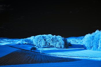 Starry Night Serenity A Field Of Blue, field, nature HD wallpaper