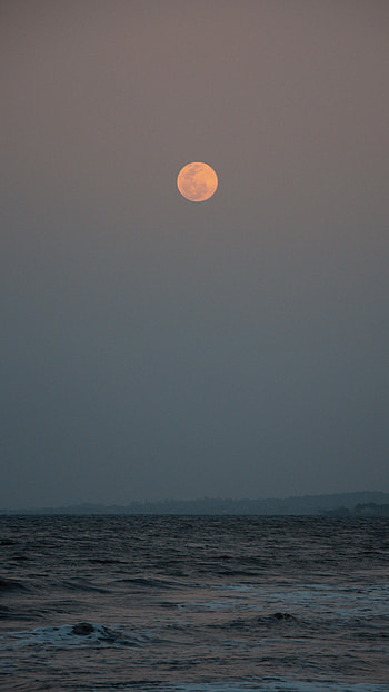 Nature, Water, Moon, Horizon, Evening HD phone wallpaper