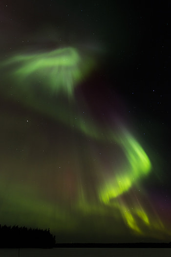 Nature, Night, Starry Sky, Aurora Borealis, Northern Lights, Aurora HD phone wallpaper