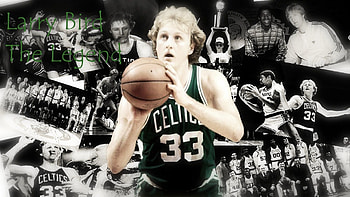 Larry Bird, Top , Impressive backgrounds, Visual delight HD wallpaper