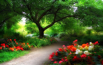 Vista Beyond, path, Painting, pathtrees, flowers, park HD wallpaper