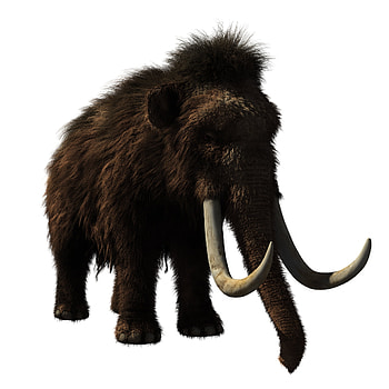 Woolly mammoth, Prehistoric wildlife, 3D woolly mammoth, Snipstock HD phone wallpaper