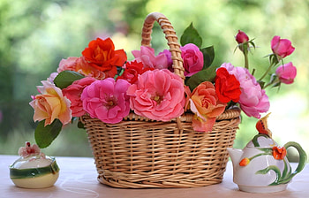 Flowers, Roses, Blur, Smooth, Table, Basket, Porcelain HD wallpaper