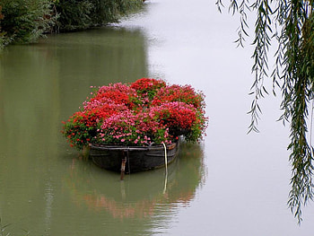 flower boat, boat, nature, flowers, water, lake HD wallpaper