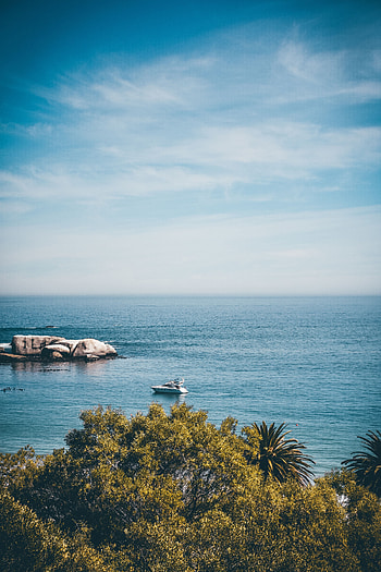 Nature, Trees, Stones, Sea, Horizon, Coast, Yacht HD phone wallpaper