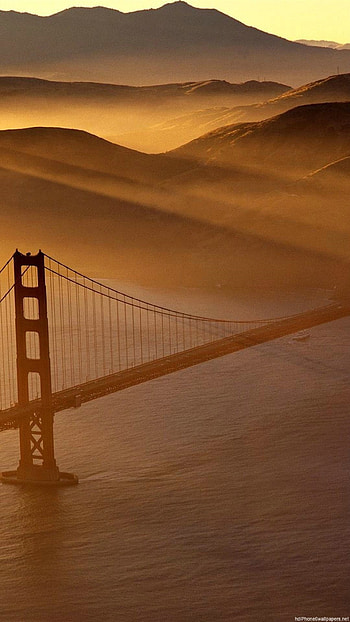 bridge gold nature san francisco 6 - 6 Plus backgrounds HD phone wallpaper