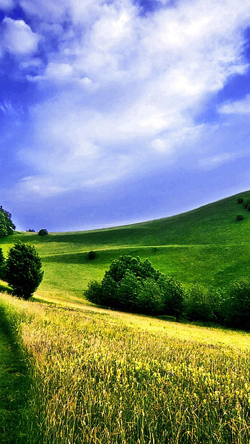 Background , Farm fields HD phone wallpaper