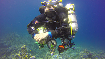 G technical diving reef, 2000 dive club, Dive with professionals, Exceptional diving experiences HD wallpaper