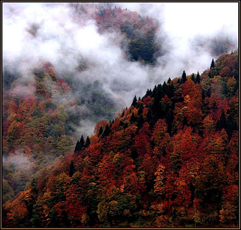 fotinos, nature HD wallpaper