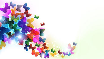 Colorful butterflies, blue, colorful, white, purple, pink, butterfly, rainbow, green, yellow, texture HD wallpaper