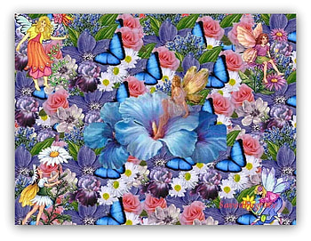 flowers and butterflies, blue, butterflies, flowers, morphos HD wallpaper