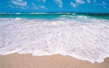 Foamy Sea, blue, sea, foam, waves HD wallpaper