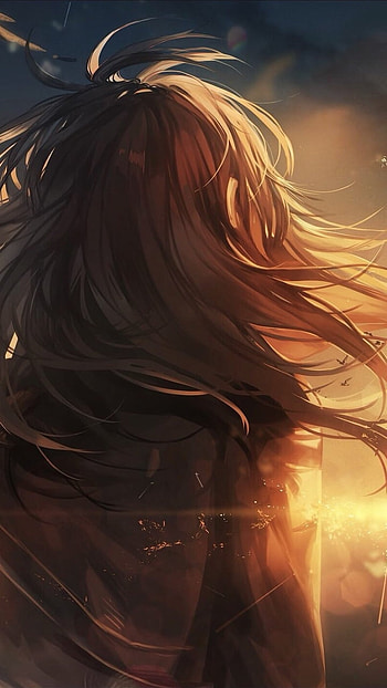 long hair, black hair, bird, Anime, Original, anime sunset, Anime Bird HD phone wallpaper