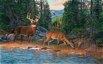 On the River, trees, river, deers, forest, water HD wallpaper