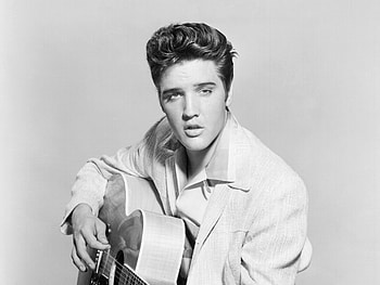 Elvis Presley, background , cat, Music legend HD wallpaper
