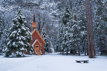Yosemite National Park, Winter, Forest, Trees, Snow HD wallpaper