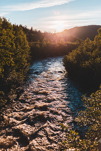 Nature, Rivers, Sky, Sun, Bush, Beams, Rays HD phone wallpaper