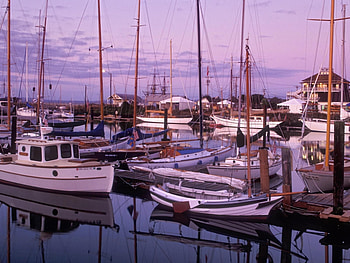 Transport, Sea, Yachts, Violet HD wallpaper