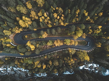 A stunning aerial shot capturing a curvy road through a dense forest in fall, with vibrant foliage. HD wallpaper