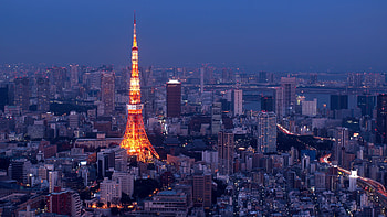Tokyo, High-definition background, City grapy, Aesthetically pleasing HD wallpaper