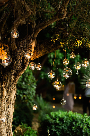C C on AE Lights! It's never too much!. Christmas lights , Beautiful flowers , Beautiful background, Nature Wedding HD phone wallpaper