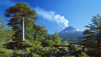 Landscape, Trees, Mountains HD wallpaper