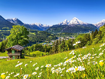 The Village in the Mountains, Bavaria, Germany, wildflowers, trees, germany, nature, cottage, mountains, village HD wallpaper