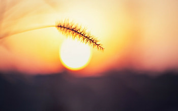 Fiery sunsets, Golden hour, Dazzling sunbeams, Evening glow HD wallpaper