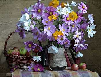 Still life, Flowers, Apples, Fruits, Vase HD wallpaper