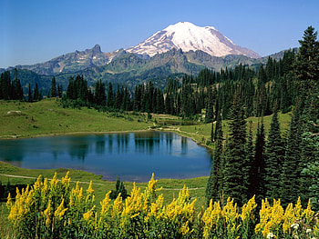 Nature, Flowers, Trees, Mountains, Vertex, Top, Lake, Alps, Meadow HD wallpaper