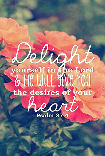 Backgrounds Tumblr Android Pinterest Quotes For Girls . HD phone wallpaper