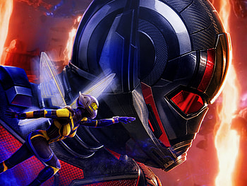 movie, Ant-Man and The Wasp: Quantumania HD wallpaper
