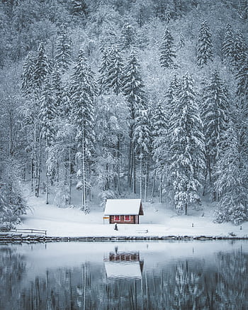 Tranquil cabin amidst snow-covered forest reflecting in the icy lake. HD phone wallpaper