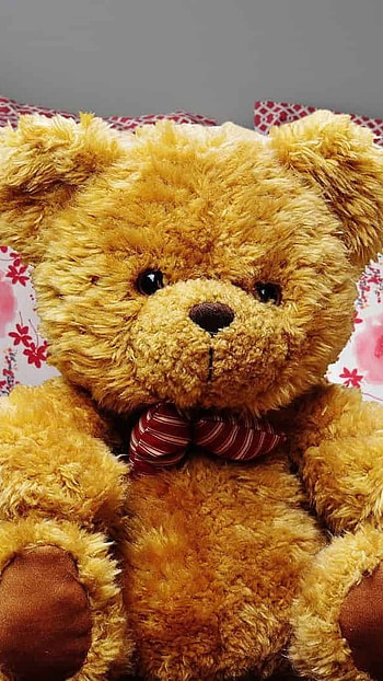 Teddy Bear Ke, Big Teddy HD phone wallpaper