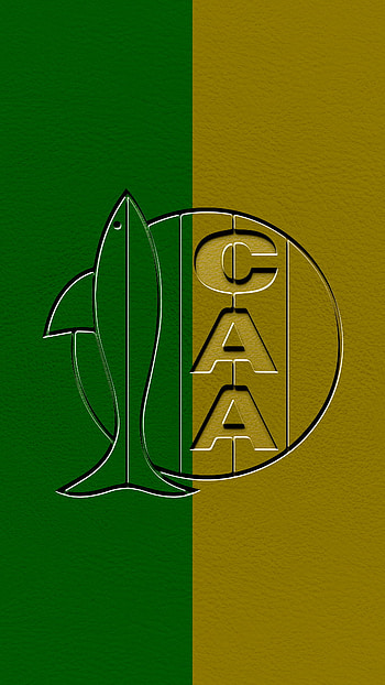 Club Atletico Aldosivi, Fondos, Argentina, LPF, Movil HD phone wallpaper