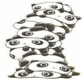 Pandas, panda HD wallpaper