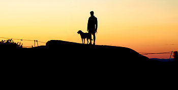 Sunset, Dark, Dog, Silhouettes, Human, Person, Hill HD wallpaper