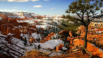 Bryce Canyon National Park, , High definition, Explore the collection HD wallpaper