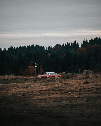 Nature, Cars, Forest, Car, Field, Old HD phone wallpaper