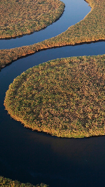 Aerial view of Okavango River, Okavango Delta, Botswana beauty, Windows spotlight HD phone wallpaper