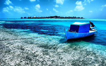 Nature, Shore, Bank, Boat, Bay, Blue Water, Rope HD wallpaper