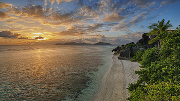 Anse Source Dargent, Sculpted rocks, Palm trees, Sunset HD wallpaper