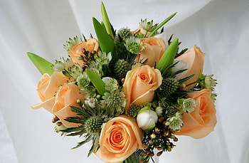 Flowers, Roses, Registration, Typography, Bouquet, Buds HD wallpaper