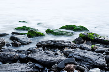 Tranquil coastal scene featuring moss-covered rocks and gentle water flow. HD wallpaper