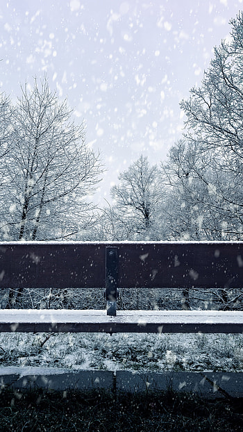 Bench in snowfall, Winter's embrace, , Serene snow scene HD phone wallpaper