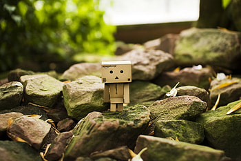 Danbo Exploring, danbo, robot, box, explore HD wallpaper