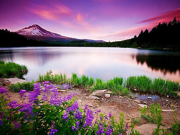 Landscape, Rivers, Mountains HD wallpaper