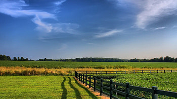 farm , High-quality backgrounds, Farming life, Countryside HD wallpaper
